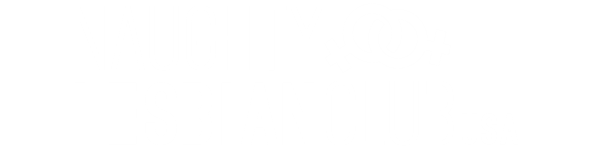 Naughty Lesbian Club USA Logo